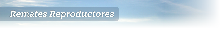 reproductores